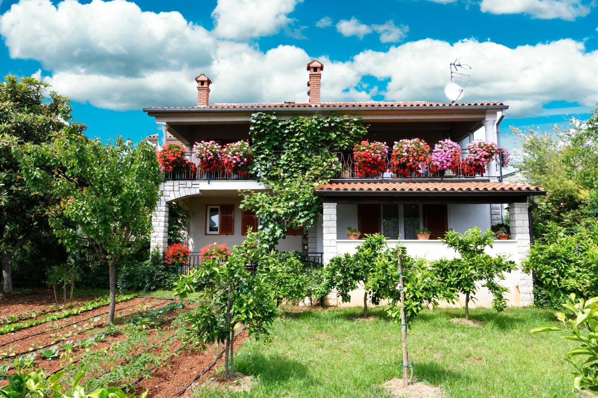 Apartment Slavica Vrvari Poreč Eksteriør bilde